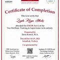 Resmi büyüt: certificate 1