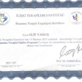Resmi büyüt: certificate 2