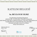 Resmi büyüt: certificate 9