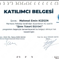 Resmi büyüt: certificate 9