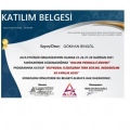 Resmi büyüt: certificate 16