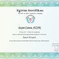 Resmi büyüt: certificate 17