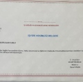 Resmi büyüt: certificate 4