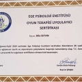 Resmi büyüt: certificate 7