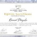 Resmi büyüt: certificate 11