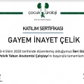 Resmi büyüt: certificate 8