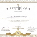 Resmi büyüt: certificate 10