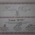 Resmi büyüt: certificate 1