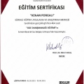Resmi büyüt: certificate 8