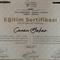 Resmi büyüt: certificate 7