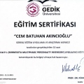 Resmi büyüt: certificate 11