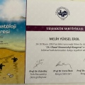 Resmi büyüt: certificate 43