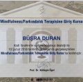 Resmi büyüt: certificate 6