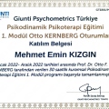 Resmi büyüt: certificate 22