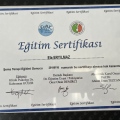Resmi büyüt: certificate 2