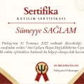 Resmi büyüt: certificate 7