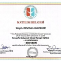 Resmi büyüt: certificate 2