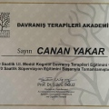 Resmi büyüt: certificate 3