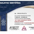Resmi büyüt: certificate 10