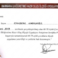Resmi büyüt: certificate 6