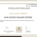 Resmi büyüt: certificate 13