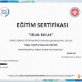 Resmi büyüt: certificate 7