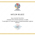 Resmi büyüt: certificate 12