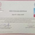 Resmi büyüt: certificate 3