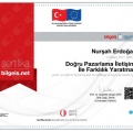 Resmi büyüt: certificate 14