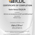 Resmi büyüt: certificate 6