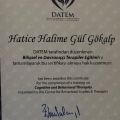 Resmi büyüt: certificate 1