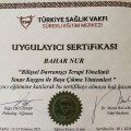 Resmi büyüt: certificate 1