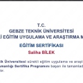 Resmi büyüt: certificate 1