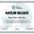 Resmi büyüt: certificate 2