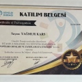 Resmi büyüt: certificate 8