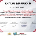 Resmi büyüt: certificate 13