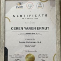 Resmi büyüt: certificate 11