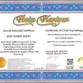 Resmi büyüt: certificate 9