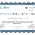 Resmi büyüt: certificate 1