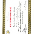 Resmi büyüt: certificate 24