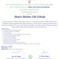 Resmi büyüt: certificate 2