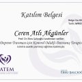 Resmi büyüt: certificate 19
