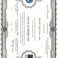 Resmi büyüt: certificate 7