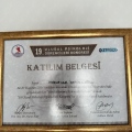 Resmi büyüt: certificate 14