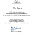 Resmi büyüt: certificate 17