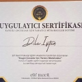 Resmi büyüt: certificate 4