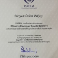 Resmi büyüt: certificate 2