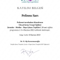 Resmi büyüt: certificate 1