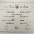 Resmi büyüt: certificate 2