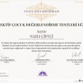 Resmi büyüt: certificate 4